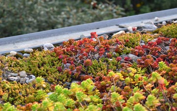 the cost of Shutford green roof installation