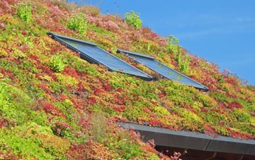 Shutford living roof systems